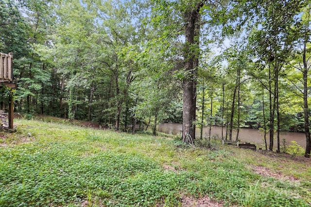 4412 Dobys Bridge Rd, Fort Mill, SC 29707 - photo 32