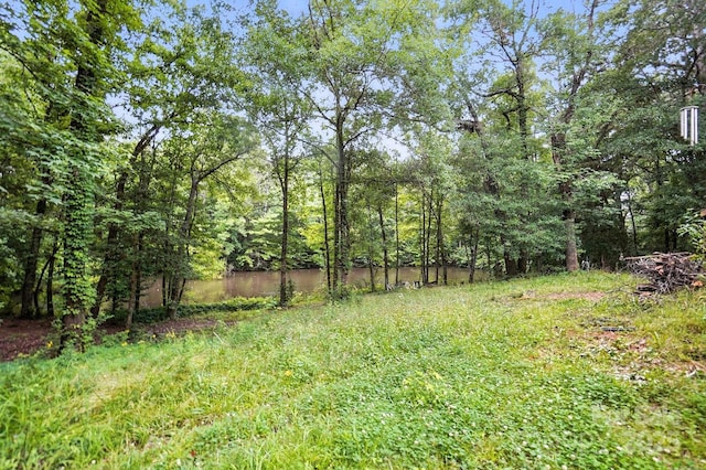 4412 Dobys Bridge Rd, Fort Mill, SC 29707 - photo 33
