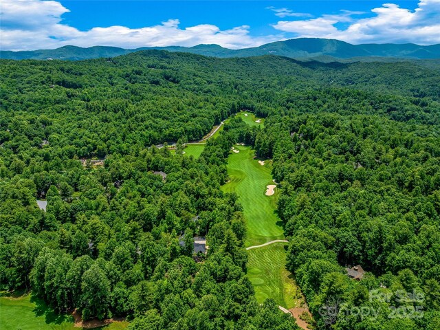 216 Shadybrook Trl, Hendersonville, NC 28739 - photo 34