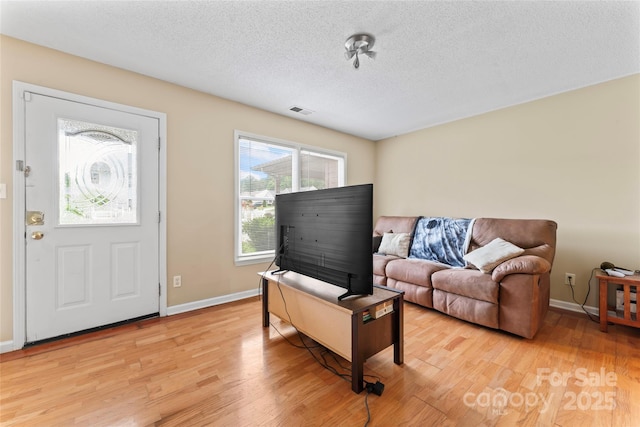 1609 Begonia Way, Rock Hill, SC 29732 - living area with light wood-style floors and a textured ceiling