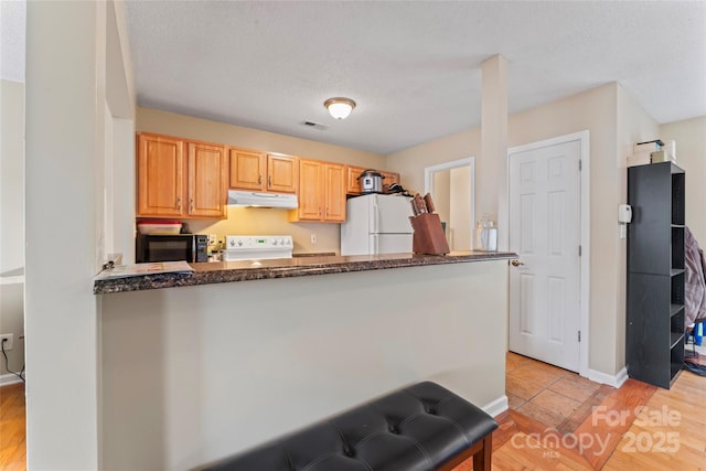 1609 Begonia Way, Rock Hill, SC 29732 - kitchen featuring freestanding refrigerator, under cabinet range hood, dark stone countertops, a peninsula, and black microwave