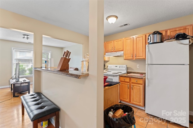 1609 Begonia Way, Rock Hill, SC 29732 - kitchen featuring white appliances, under cabinet range hood, and a textured ceiling