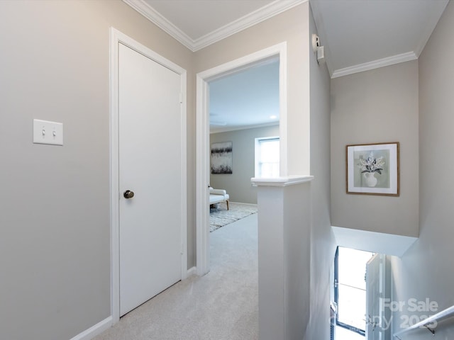 1708 Roxborough Rd Unit C, Charlotte, NC 28211 - hall featuring ornamental molding and carpet flooring