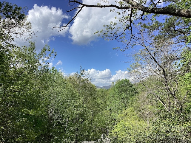 31 Rhododendron Rd, Black Mountain, NC 28711 - view of wooded area