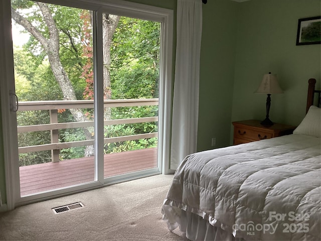 31 Rhododendron Rd, Black Mountain, NC 28711 - carpeted bedroom featuring multiple windows and access to exterior