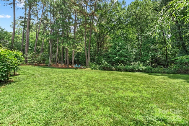 1069 Westlake Dr, Kannapolis, NC 28081 - view of green lawn