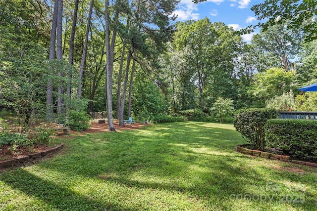 1069 Westlake Dr, Kannapolis, NC 28081 - view of grassy yard