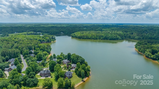 1069 Westlake Dr, Kannapolis, NC 28081 - bird's eye view of a forest and a nearby body of water