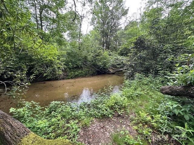 63 Apple Bee Rd, Brevard, NC 28712 - water view