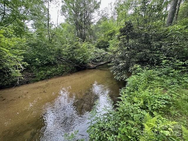 63 Apple Bee Rd, Brevard, NC 28712 - water view
