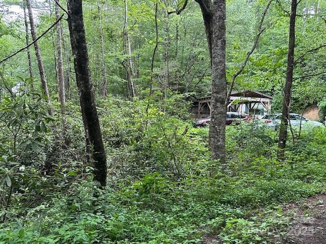 63 Apple Bee Rd, Brevard, NC 28712 - view of wooded area