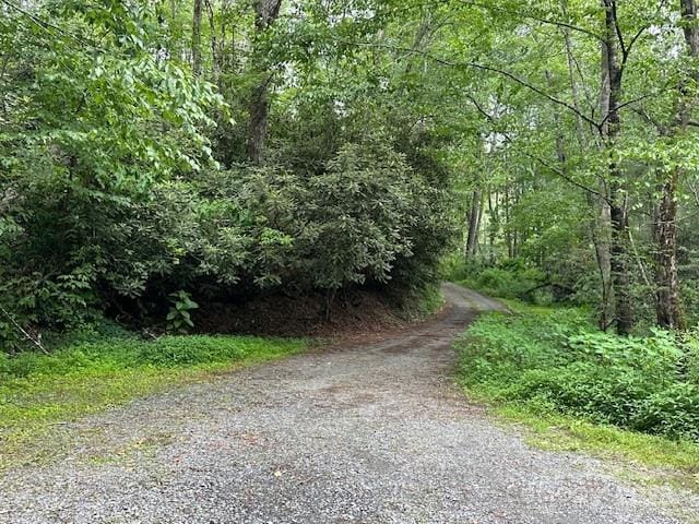 63 Apple Bee Rd, Brevard, NC 28712 - view of street with a wooded view