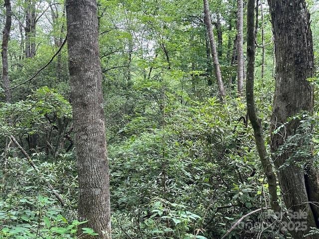 63 Apple Bee Rd, Brevard, NC 28712 - view of wooded area