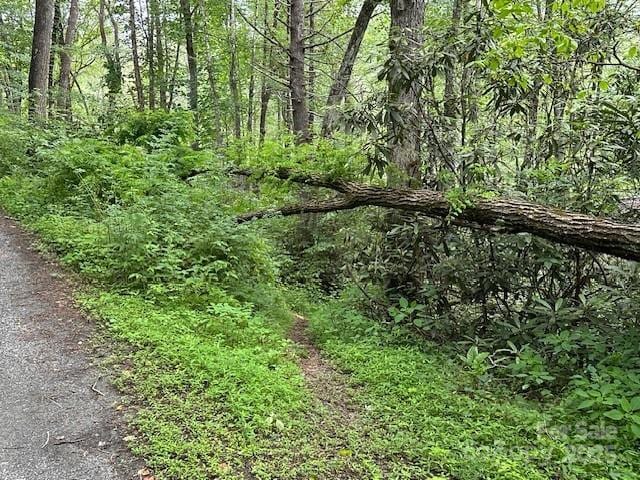 63 Apple Bee Rd, Brevard, NC 28712 - view of woods