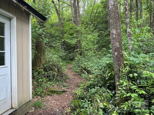 63 Apple Bee Rd, Brevard, NC 28712 - view of yard featuring a forest view