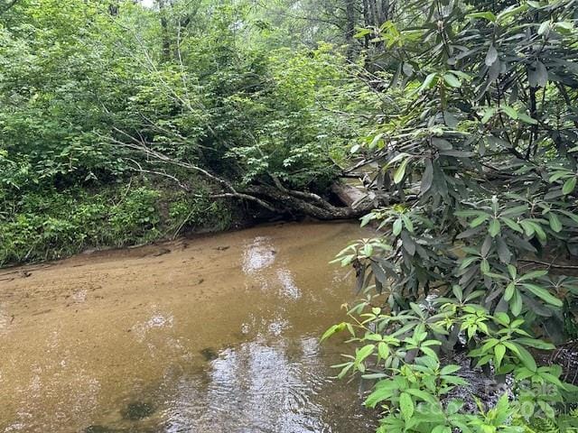 63 Apple Bee Rd, Brevard, NC 28712 - water view