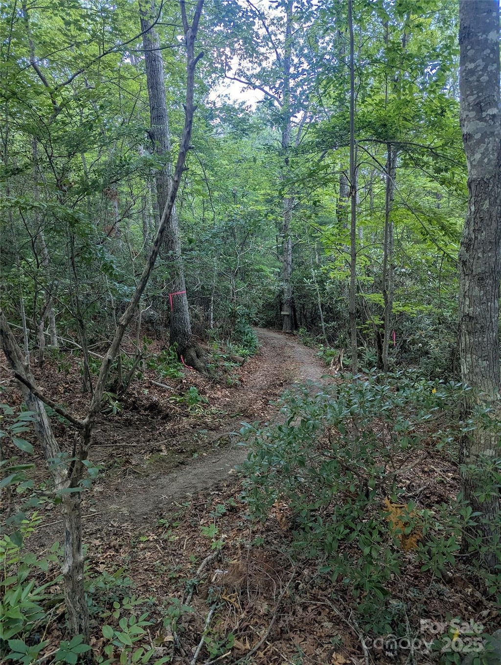 99999 Richard Ln, Black Mountain, NC 28711 - photo 2