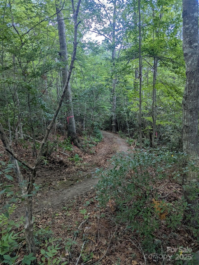 99999 Richard Ln, Black Mountain, NC 28711 - photo 2