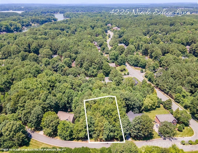 4225 Nicole Eileen Ln, Charlotte, NC 28216