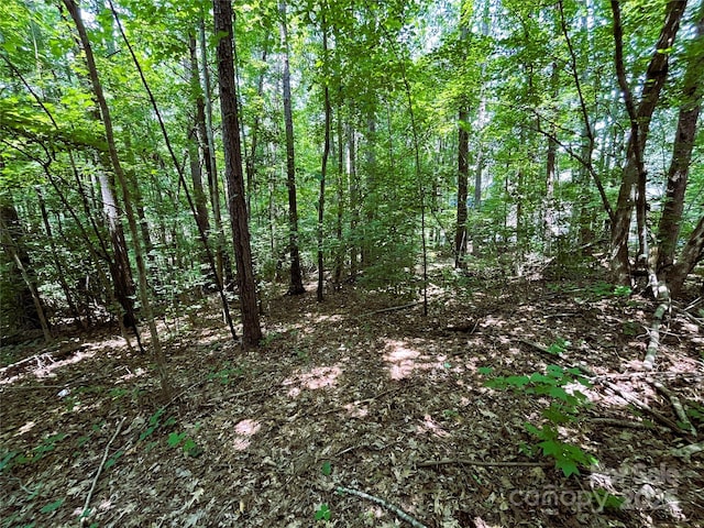 4225 Nicole Eileen Ln, Charlotte, NC 28216