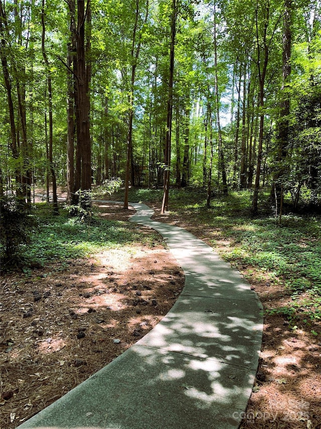4225 Nicole Eileen Ln, Charlotte, NC 28216