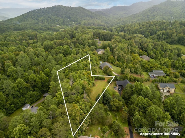 LOT6 Reaston Rdg, Weaverville, NC 28787