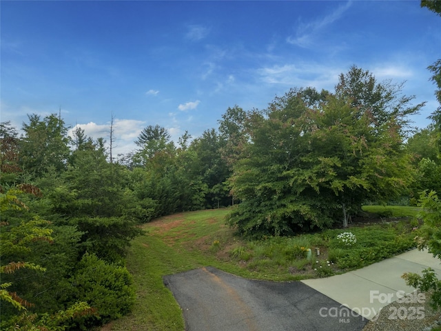 LOT6 Reaston Rdg, Weaverville, NC 28787