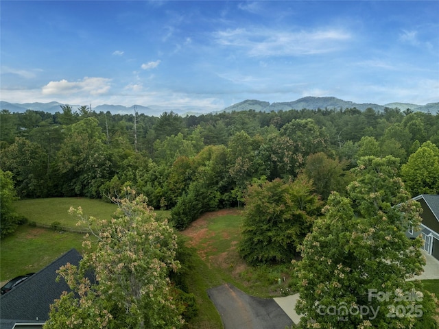 LOT6 Reaston Rdg, Weaverville, NC 28787