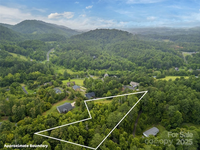 LOT6 Reaston Rdg, Weaverville, NC 28787