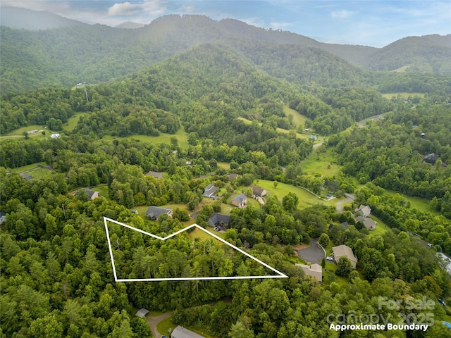 LOT6 Reaston Rdg, Weaverville, NC 28787