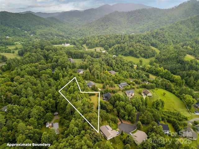 LOT6 Reaston Rdg, Weaverville, NC 28787
