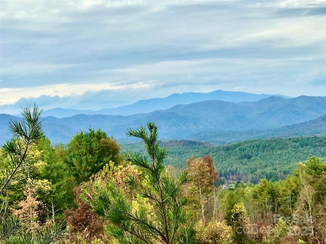 1.62ACRESLOT204B Johns Ridge Parkway Lot 204B, Lenoir, NC 28645 - photo 1