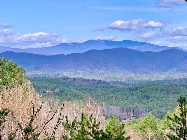 1.62ACRESLOT204B Johns Ridge Parkway Lot 204B, Lenoir, NC 28645 - photo 2