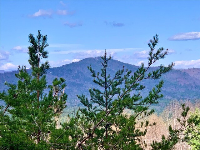 1.62ACRESLOT204B Johns Ridge Parkway Lot 204B, Lenoir, NC 28645 - photo 3