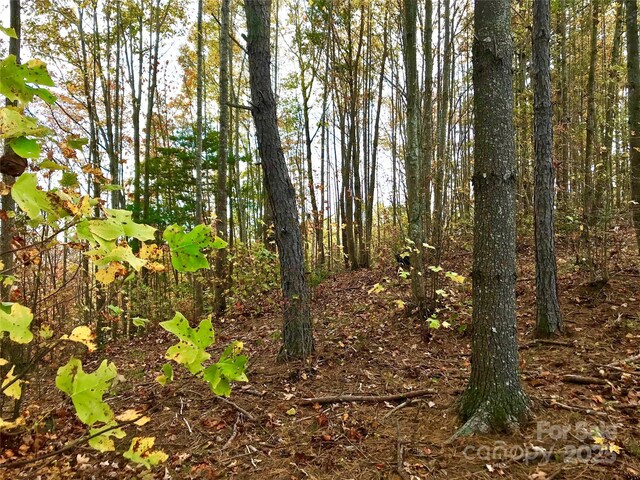 1.62ACRESLOT204B Johns Ridge Parkway Lot 204B, Lenoir, NC 28645 - photo 4