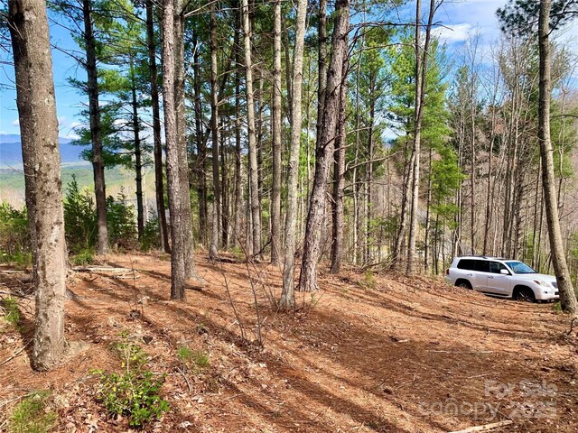 1.62ACRESLOT204B Johns Ridge Parkway Lot 204B, Lenoir, NC 28645 - photo 5