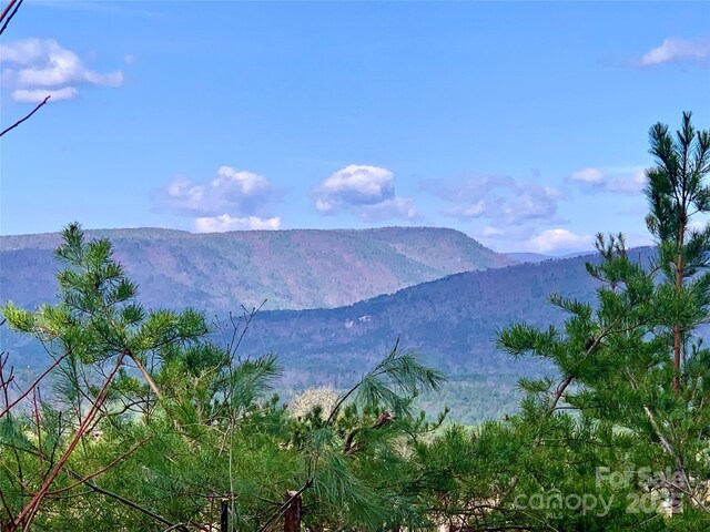 1.62ACRESLOT204B Johns Ridge Parkway Lot 204B, Lenoir, NC 28645 - photo 7