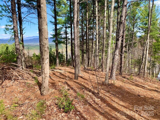 1.62ACRESLOT204B Johns Ridge Parkway Lot 204B, Lenoir, NC 28645 - photo 8