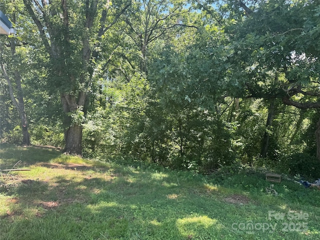 107 Round Pond Rd, Rutherfordton, NC 28139 - view of tree filled area