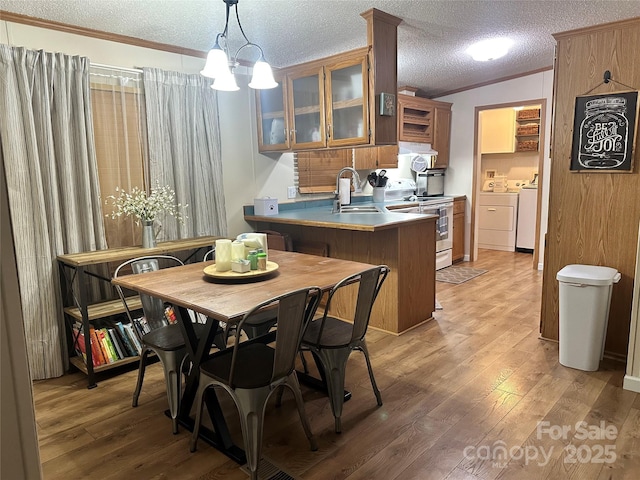 117 Haystack Ln, Olin, NC 28660 - dining room featuring washing machine and dryer, crown molding, light wood-style floors, a textured ceiling, and a chandelier