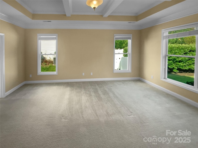 13419 Morgan Lee Ave, Charlotte, NC 28213 - empty room with beam ceiling, light colored carpet, and ornamental molding