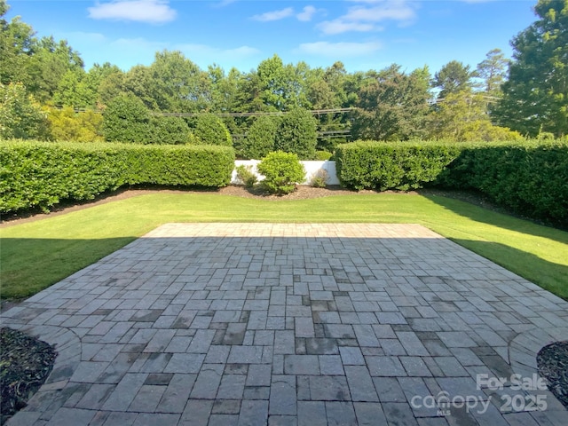 13419 Morgan Lee Ave, Charlotte, NC 28213 - view of patio