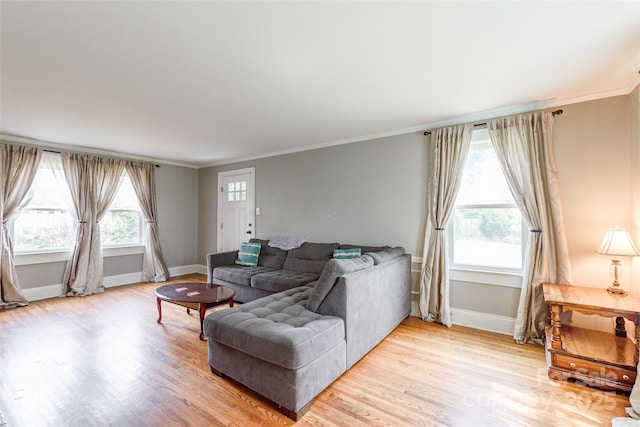 904 Venus St, Kannapolis, NC 28083 - living area with light wood-type flooring and crown molding