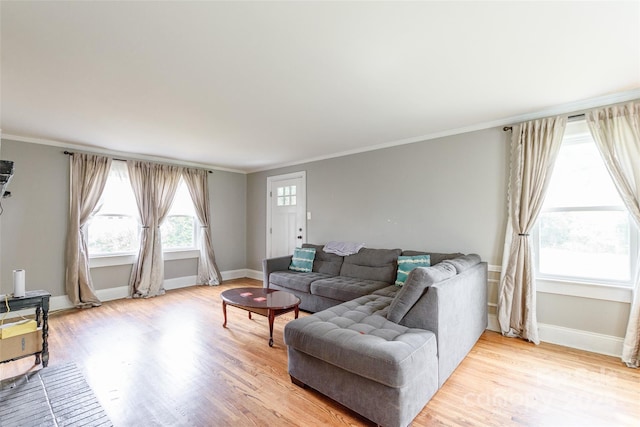 904 Venus St, Kannapolis, NC 28083 - living area with light wood-style flooring and crown molding