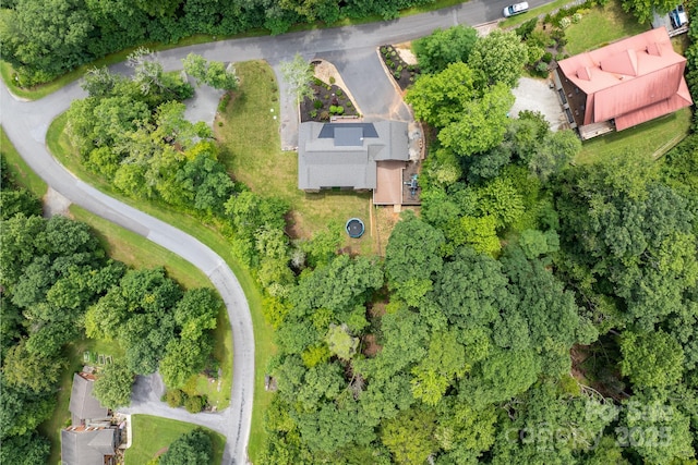 50 Red Clover Ln, Pisgah Forest, NC 28768 - photo 4
