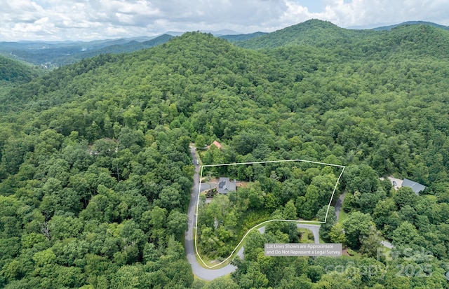 50 Red Clover Ln, Pisgah Forest, NC 28768 - photo 40