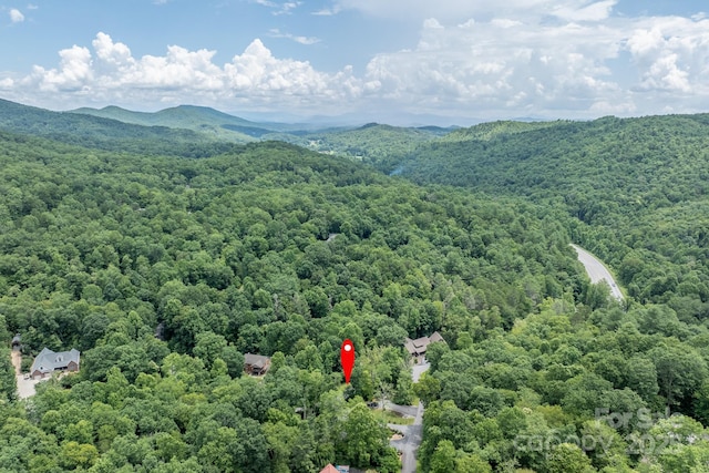 50 Red Clover Ln, Pisgah Forest, NC 28768 - photo 41