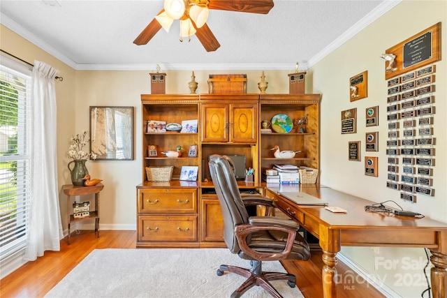 4313 Wynborough Ln, Charlotte, NC 28269 - office area featuring ceiling fan, light wood-type flooring, and ornamental molding