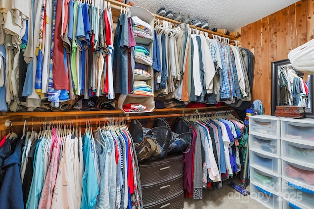 4313 Wynborough Ln, Charlotte, NC 28269 - spacious closet with carpet