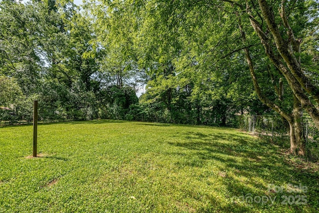 1801 Teddington Dr, Charlotte, NC 28214 - view of yard